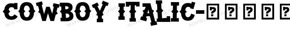 Cowboy Italic字体转换